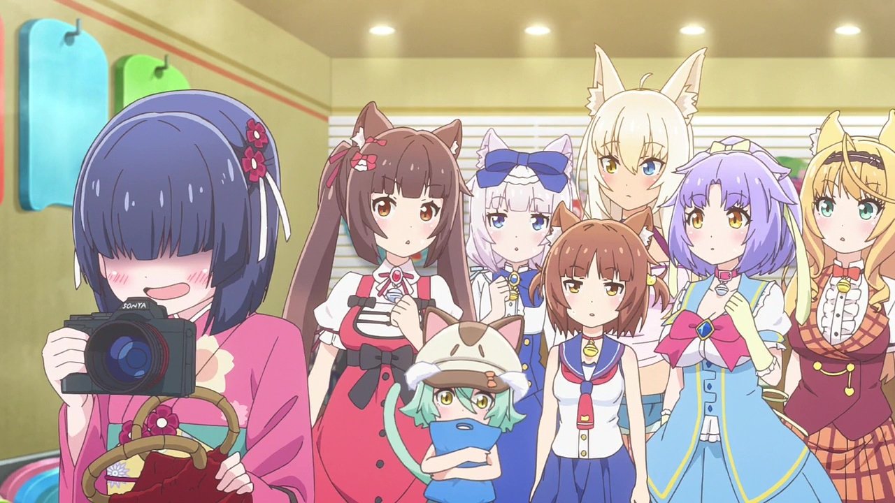 Thumbnail for Summer Beach Cat Paradise! Season 1 Episode 12