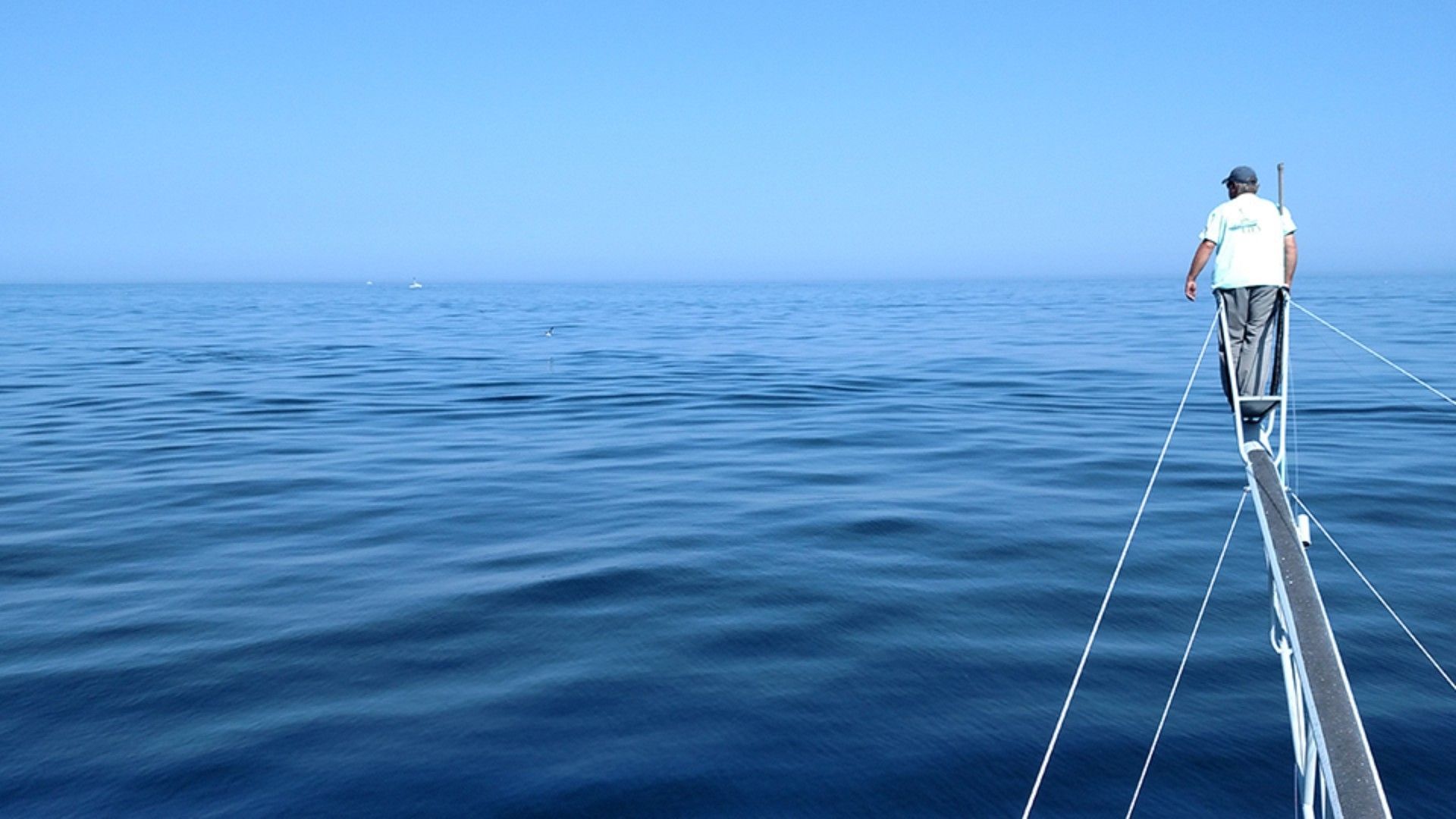 Wicked Tuna