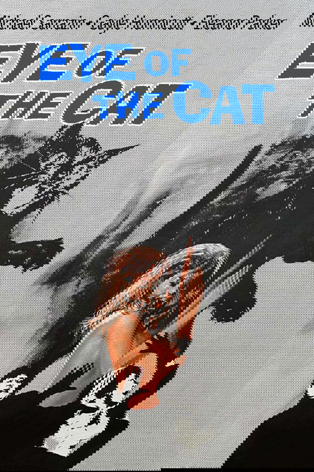 Eye of the Cat