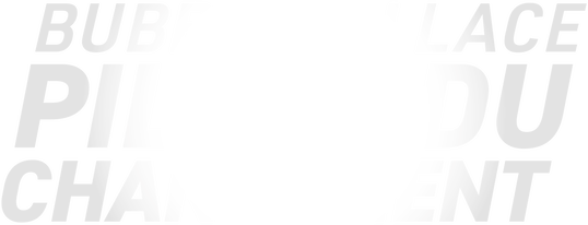 Cuộc đua: Bubba Wallace Logo
