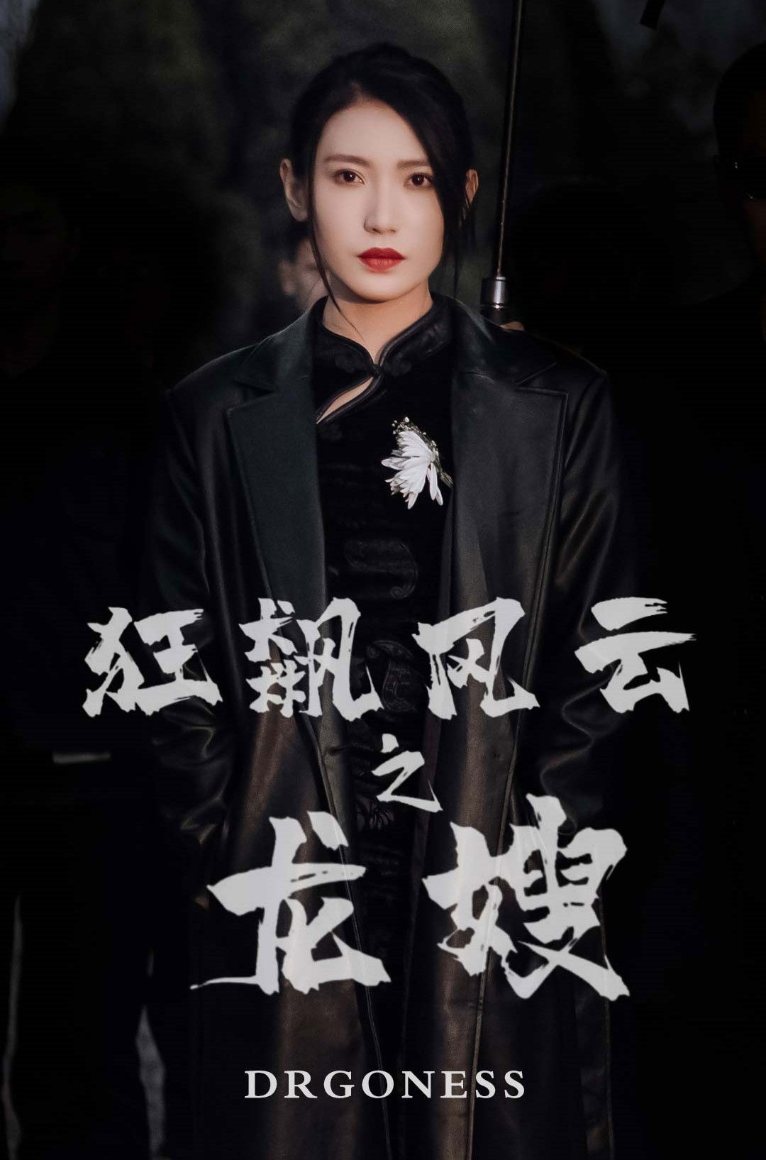 狂飙风云之龙嫂