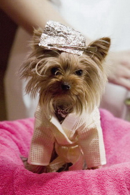 et billede af Manly "Little Pickles" Ortega