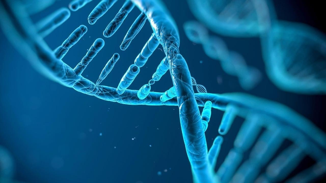 Naked Science: Evolution Background