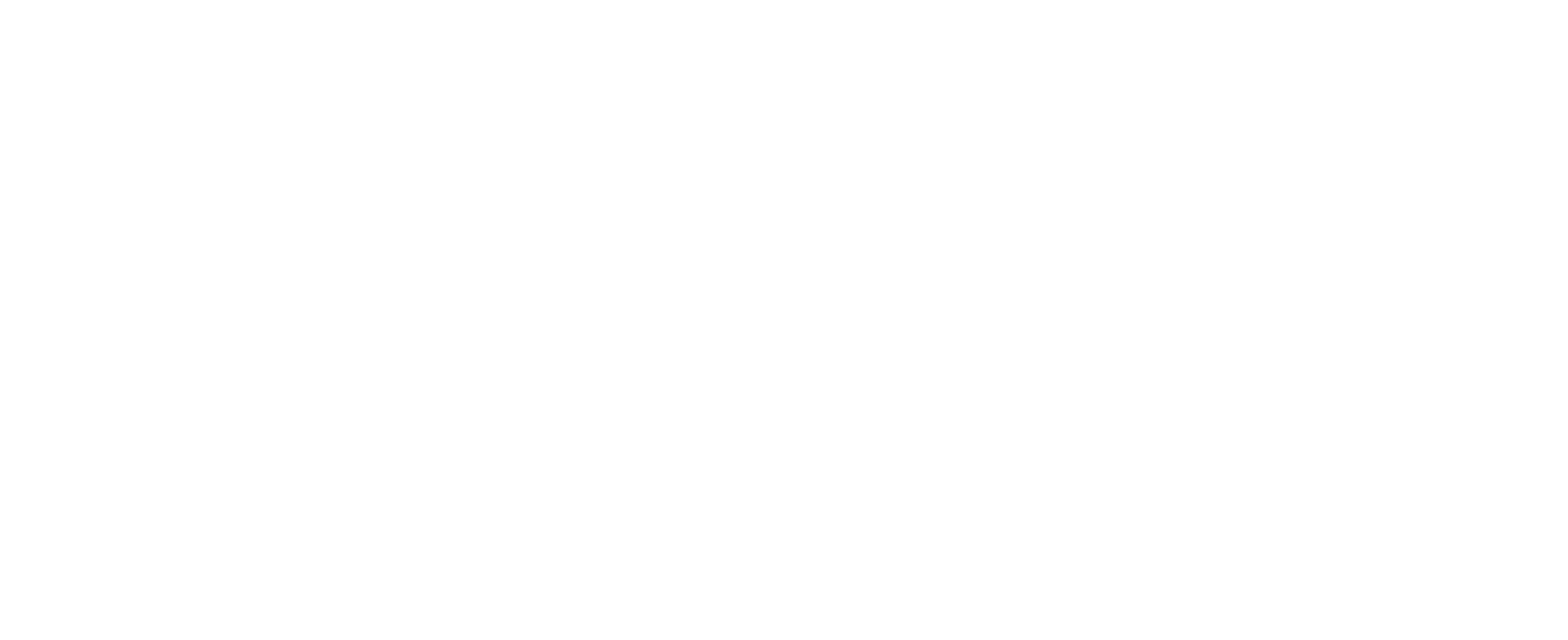The Christmas Promise