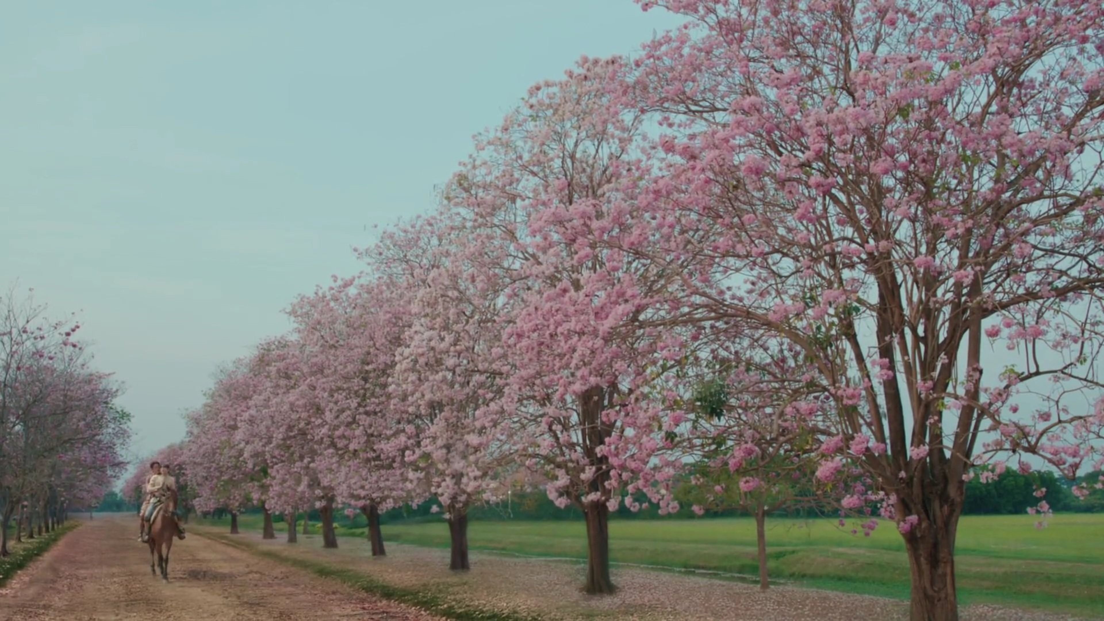 ฉันนี่แหละท่านขุนที่สวยที่สุด - Season 0