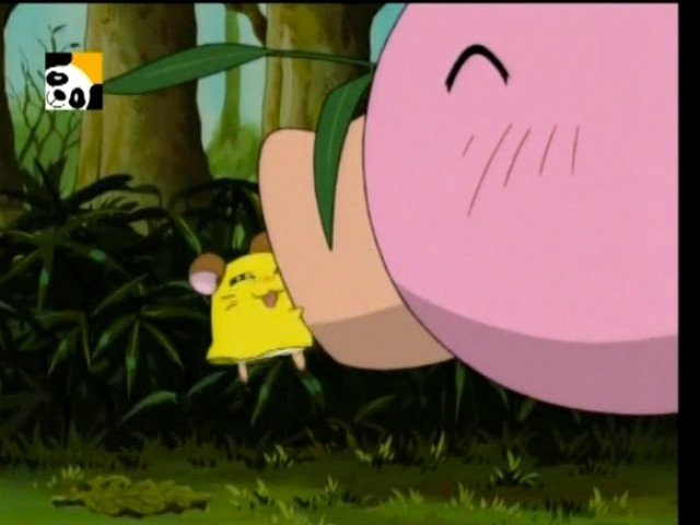 Hamtaro: pequeños hámsteres, grandes aventuras 1x74