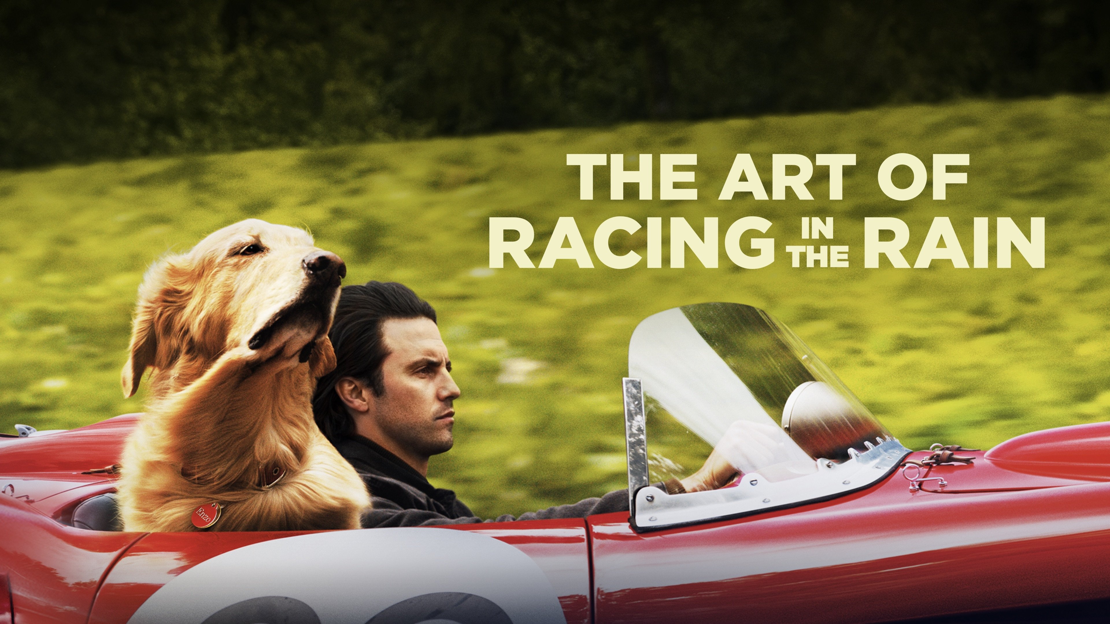 The Art of Racing in the Rain (2019)