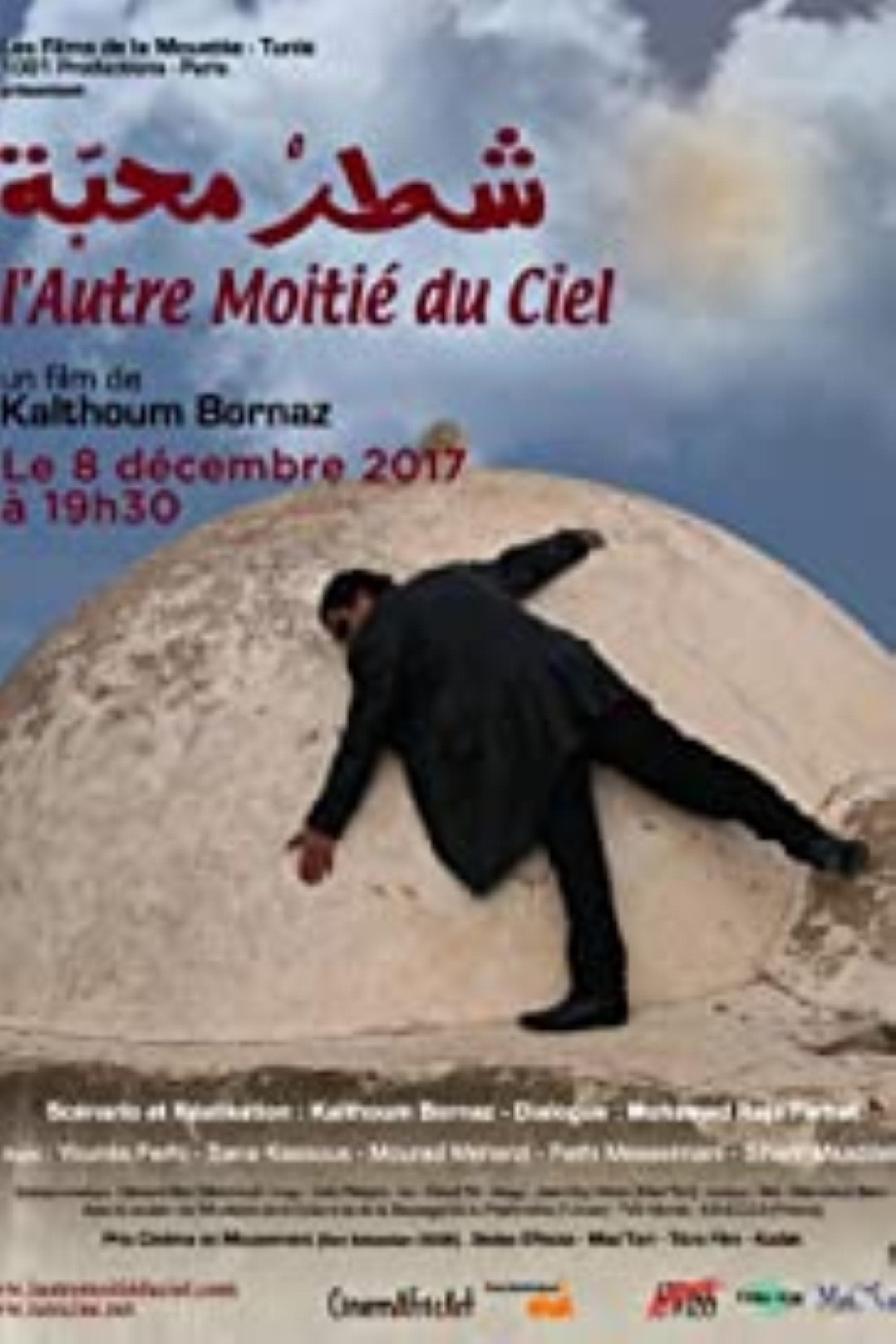 Affiche du film L'Autre Moitié du ciel 25337