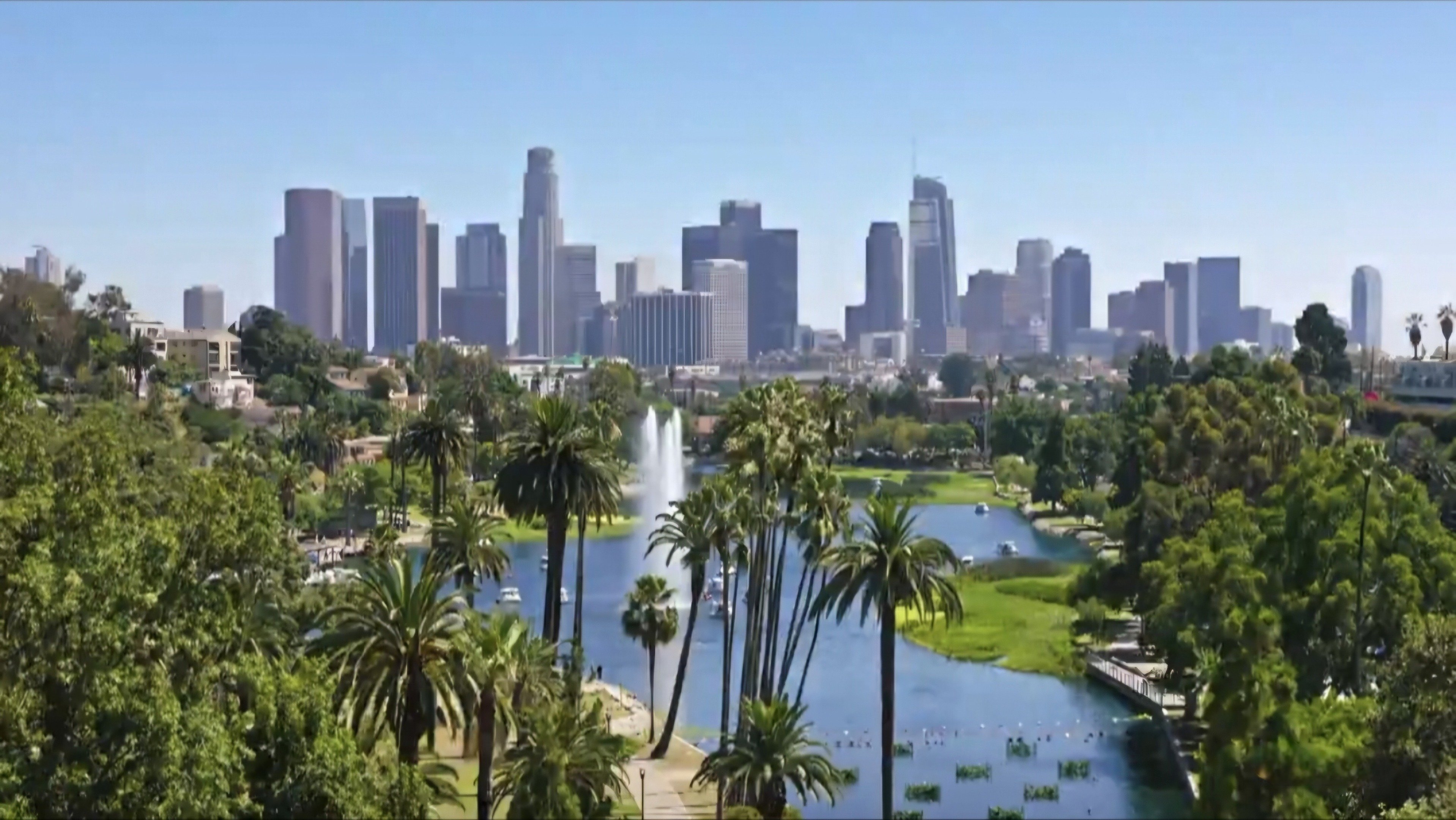 Suits LA