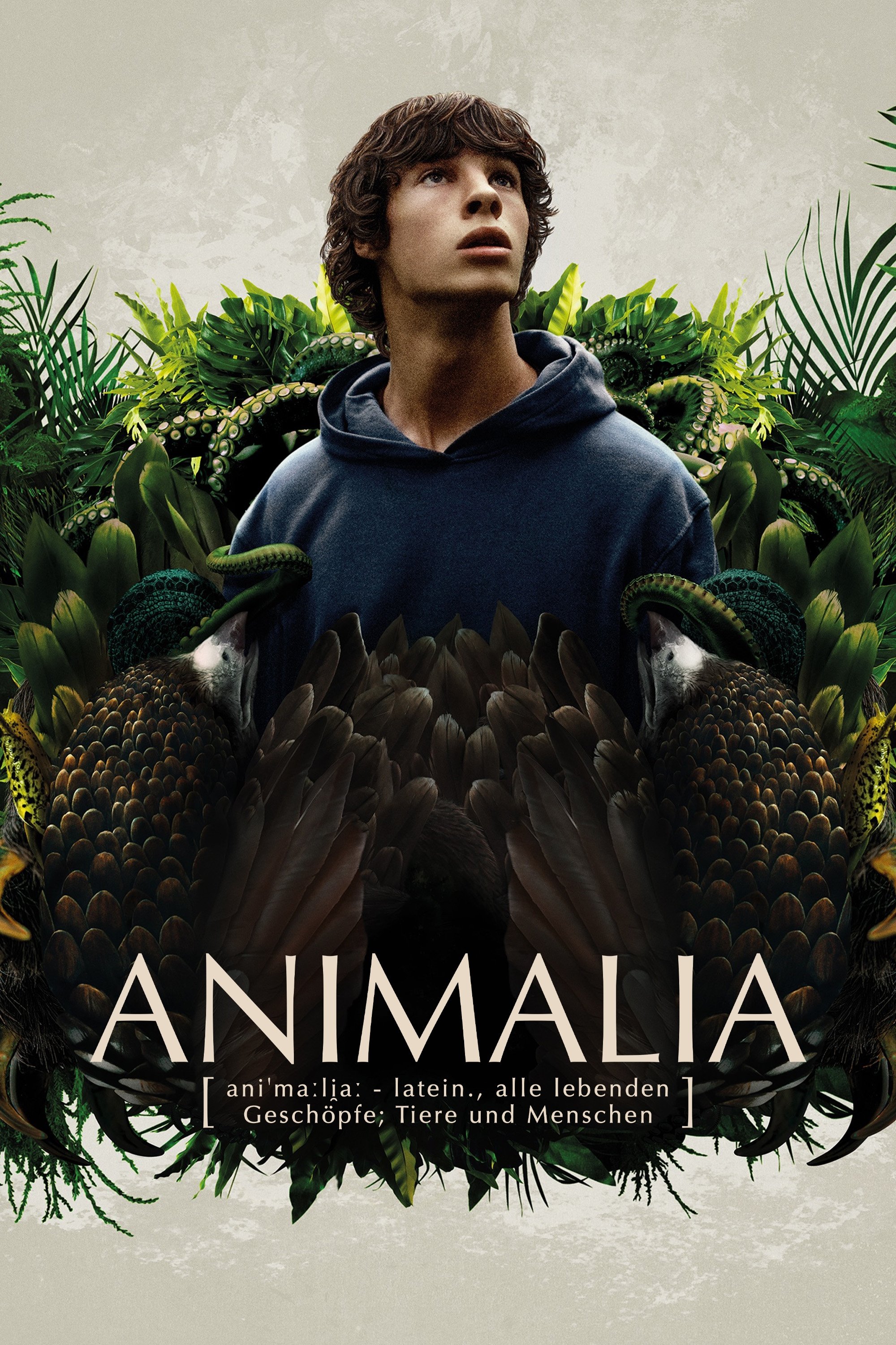 O Reino Animal O Reino Animal