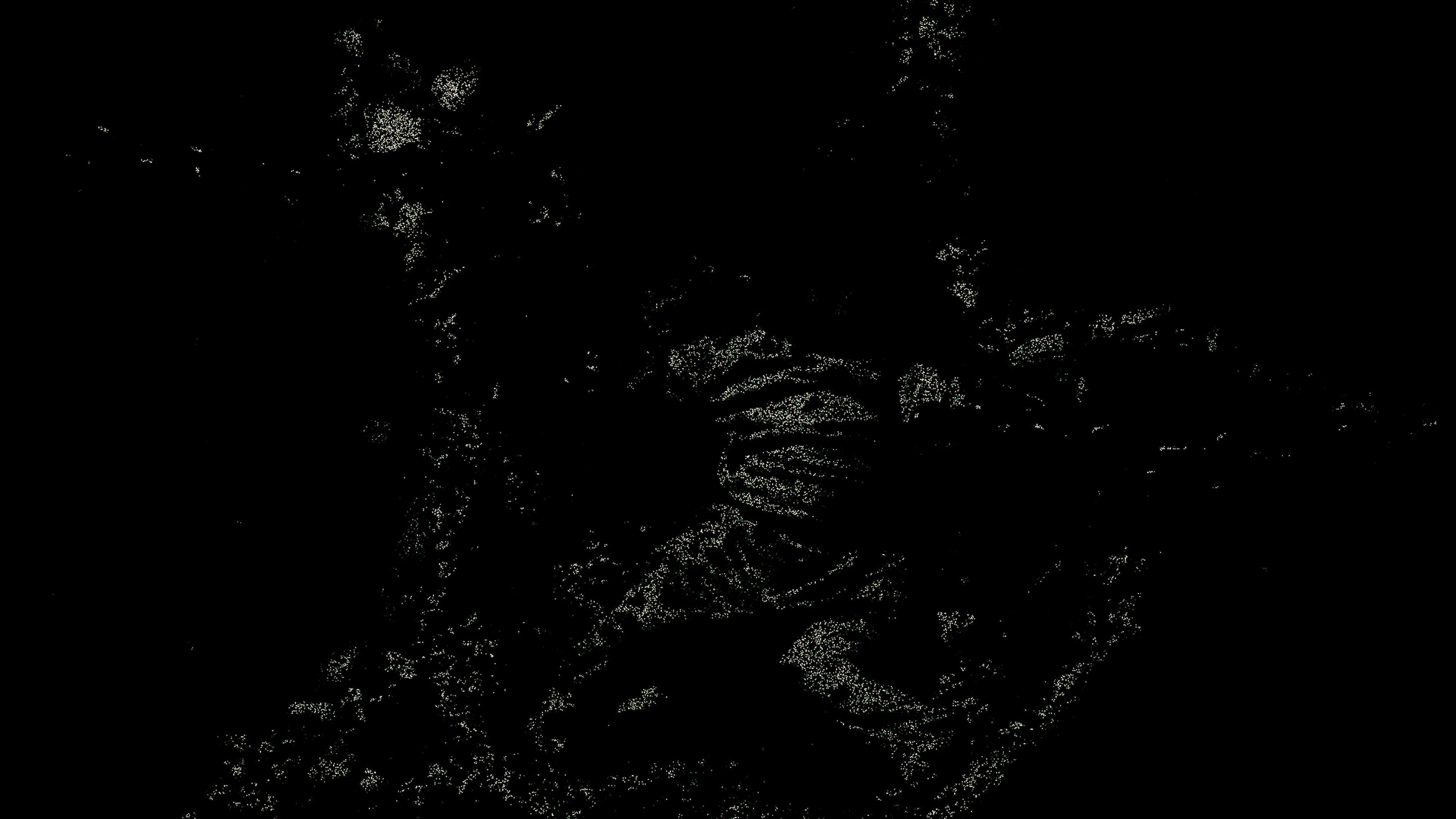 Media image