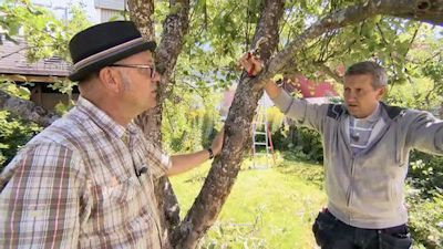 S34E2 · Del 2 av 12