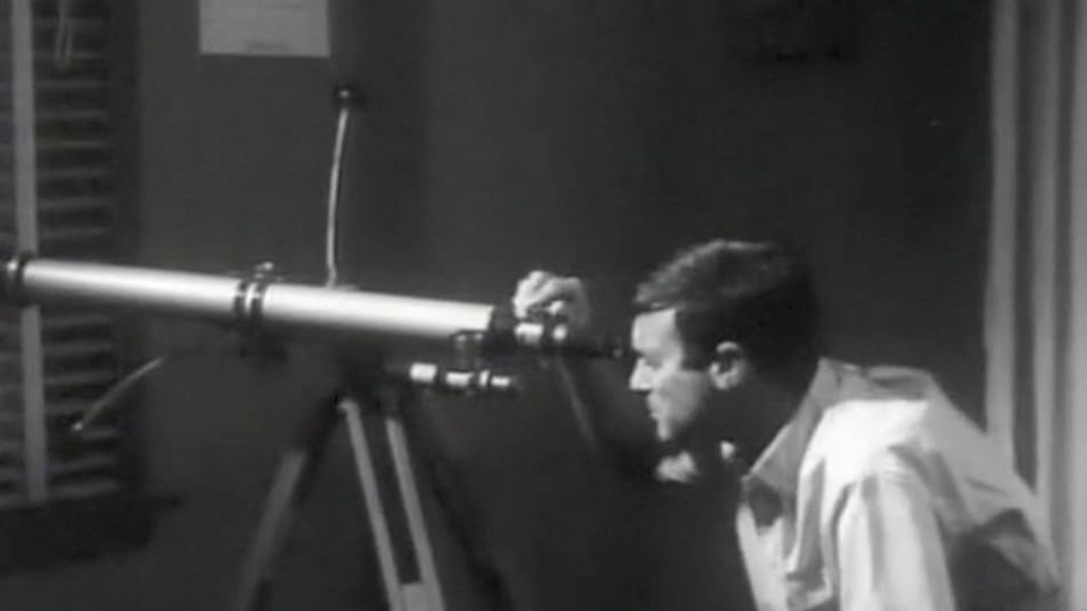 The Animal (1968)