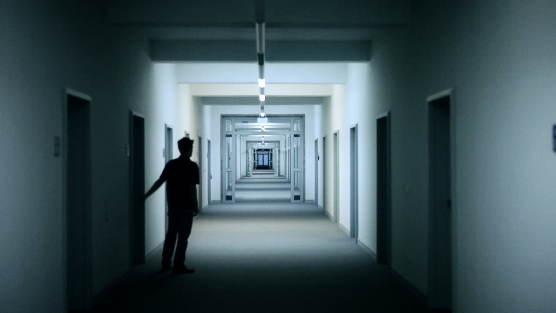 Mirrors for Princes (2011)