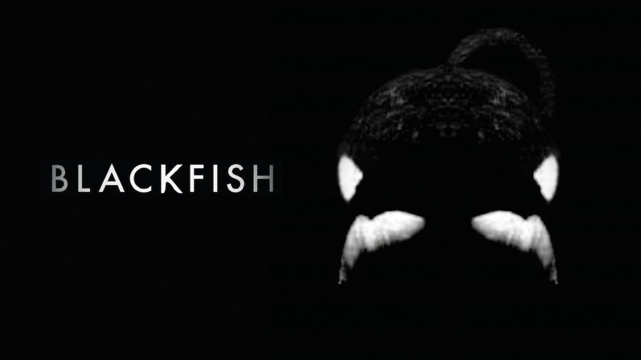 Blackfish (2013)