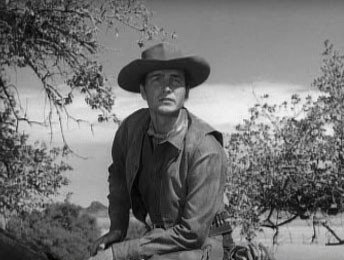 Rawhide