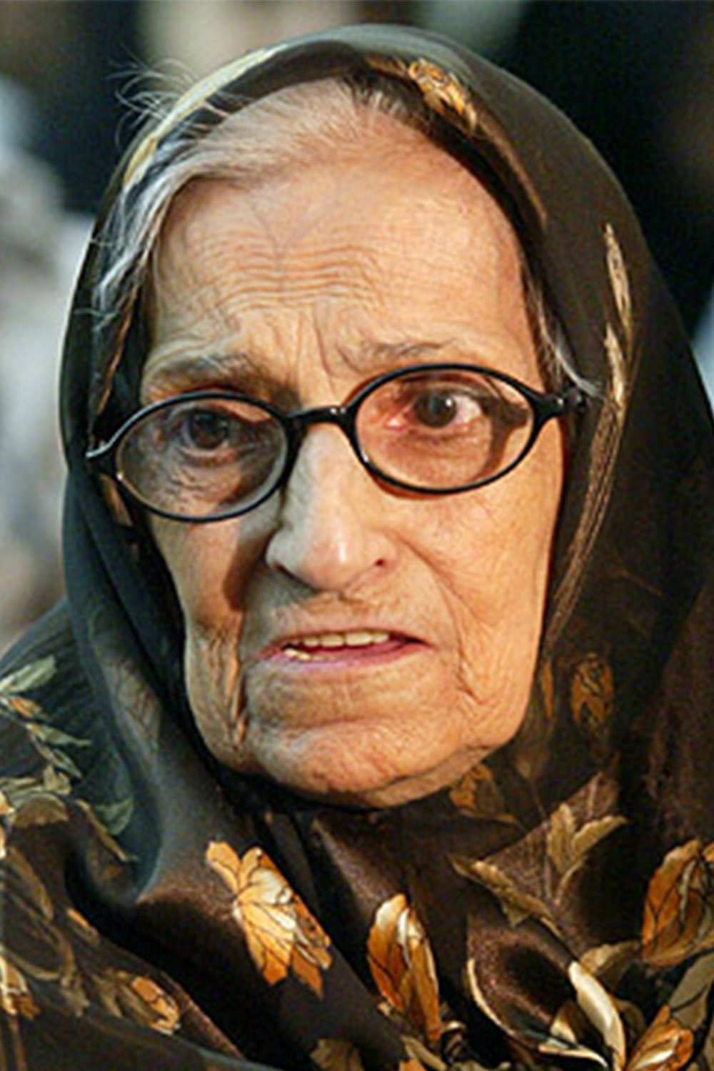 Mehri Mehrinia's picture in the cast