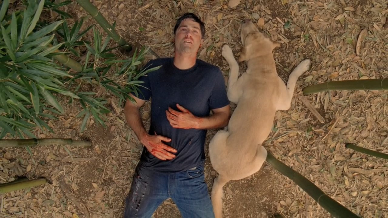 The New Man in Charge (2010)