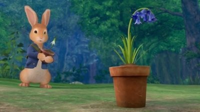 Peter Rabbit