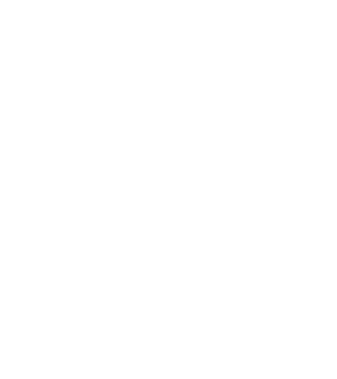 Pet Seekers Logo