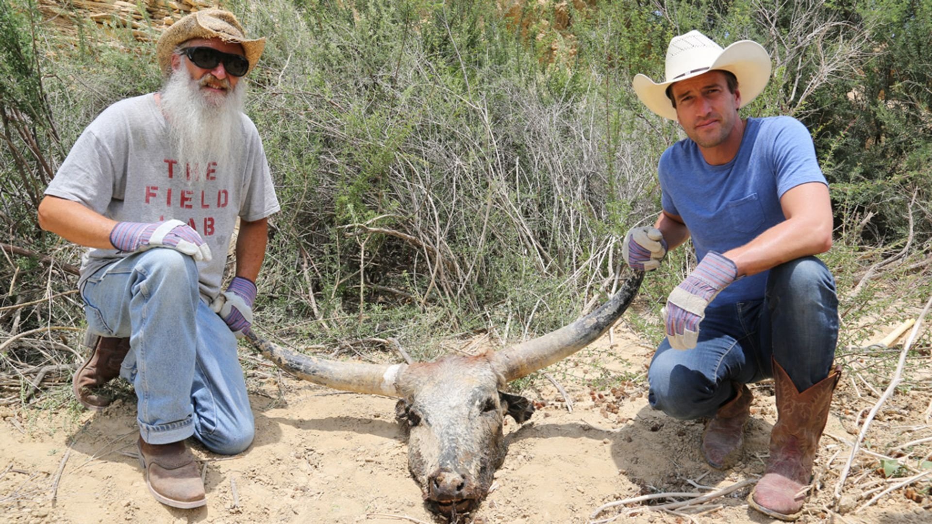 Ben Fogle: New Lives In The Wild