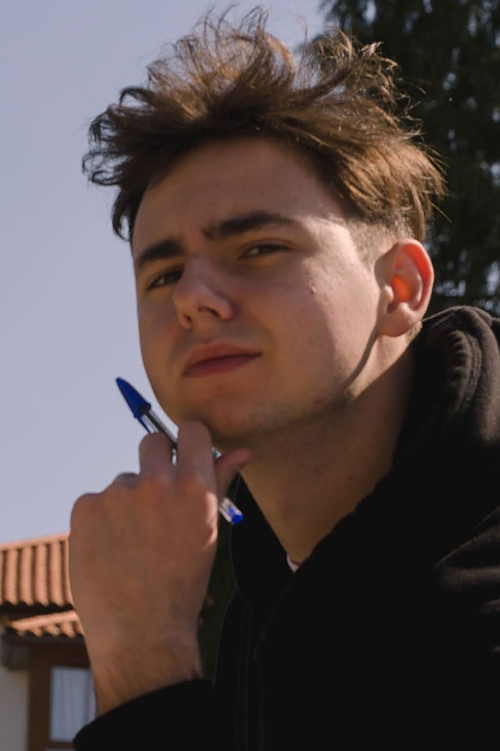 et billede af Mihajlo Tornjanski