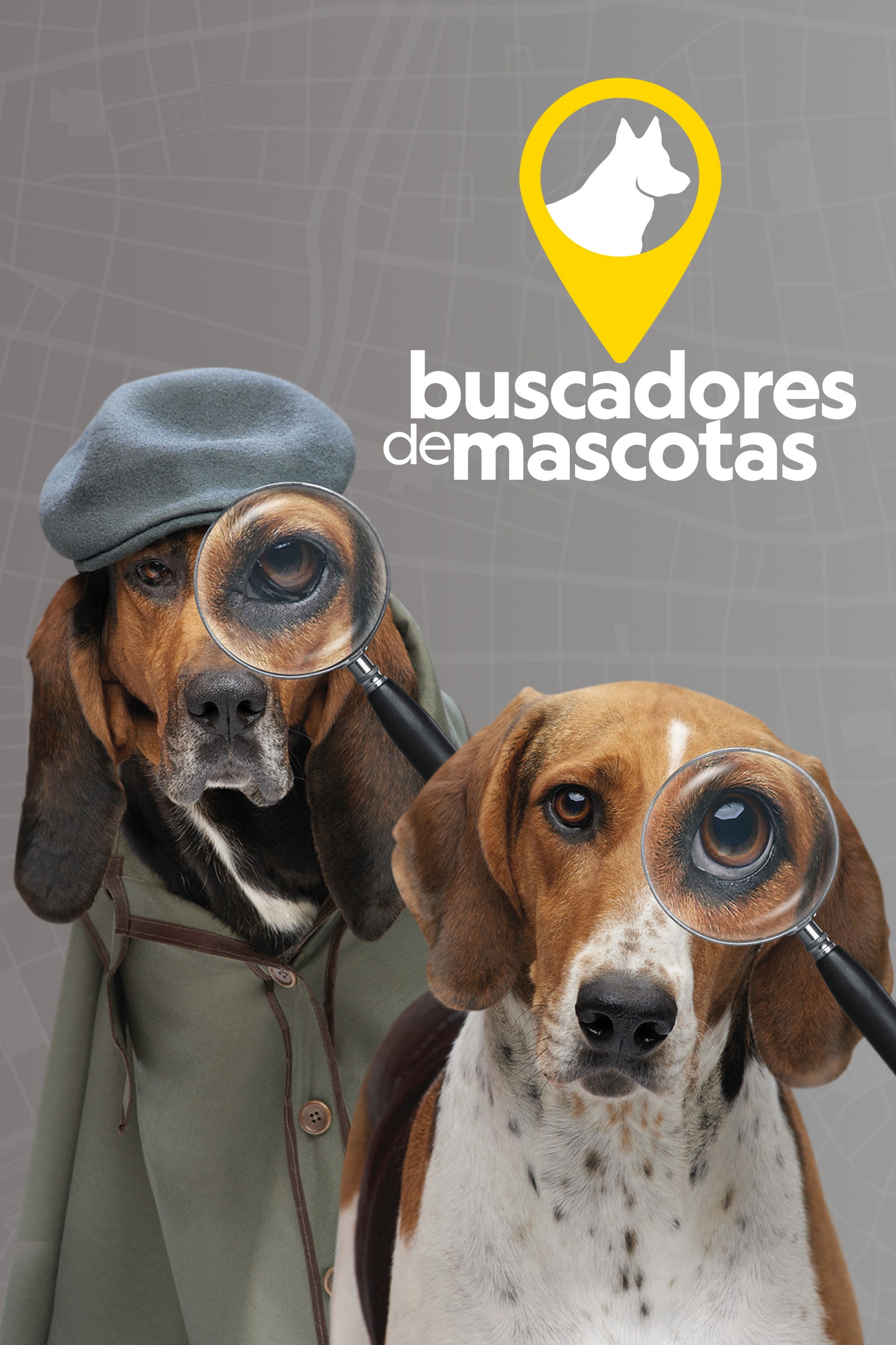 Buscadores de mascotas