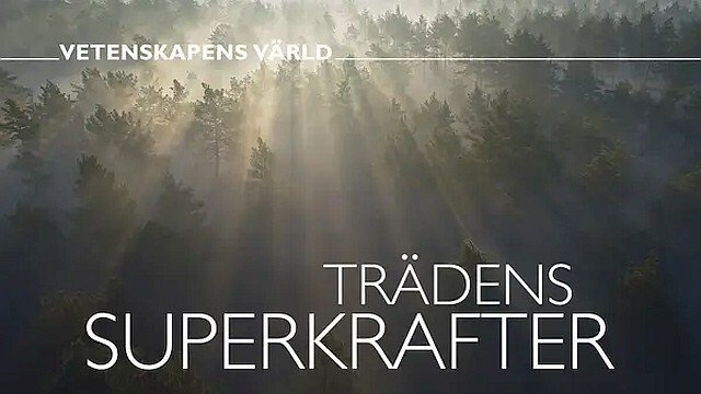 Vetenskapens värld