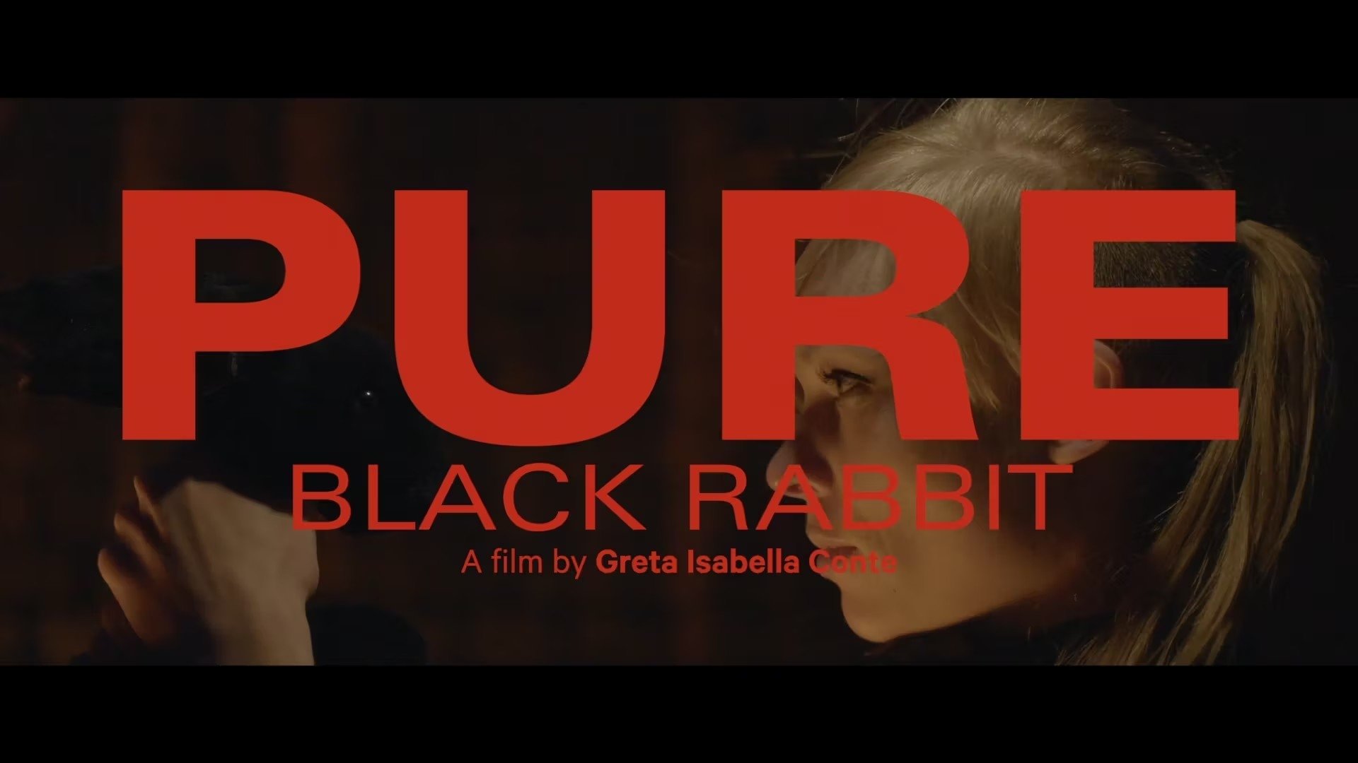 Pure - Black Rabbit ()
