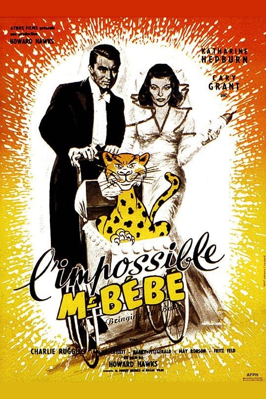 Affiche du film L'Impossible Monsieur Bébé 9335