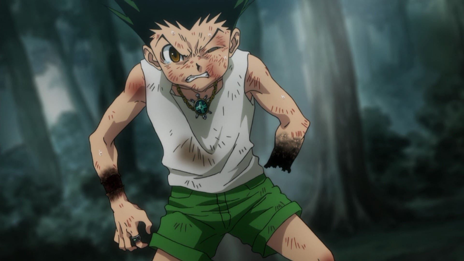 Hunter x Hunter Season 2 :Episode 74  Victor x And x Loser