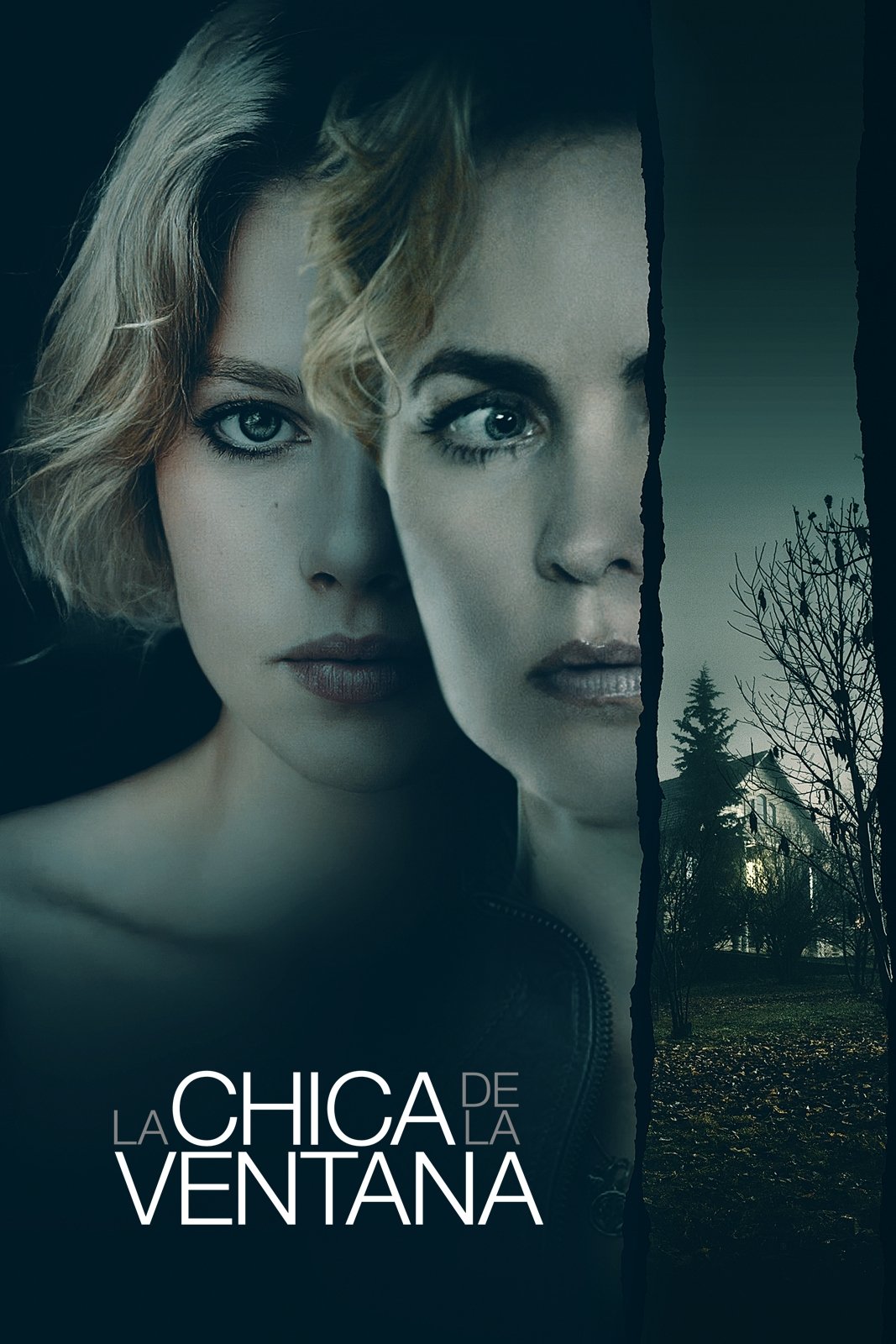 Poster 3
