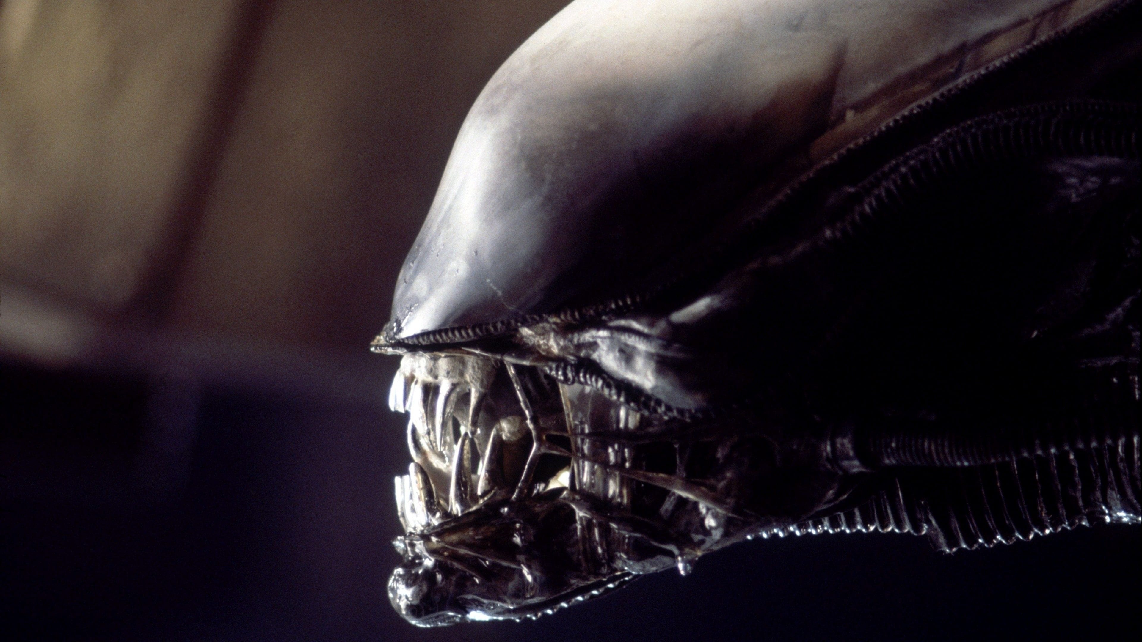 Image du film Alien, le huitième passager bjq7zl9vty4uuwtfolmddwdrdhljpg