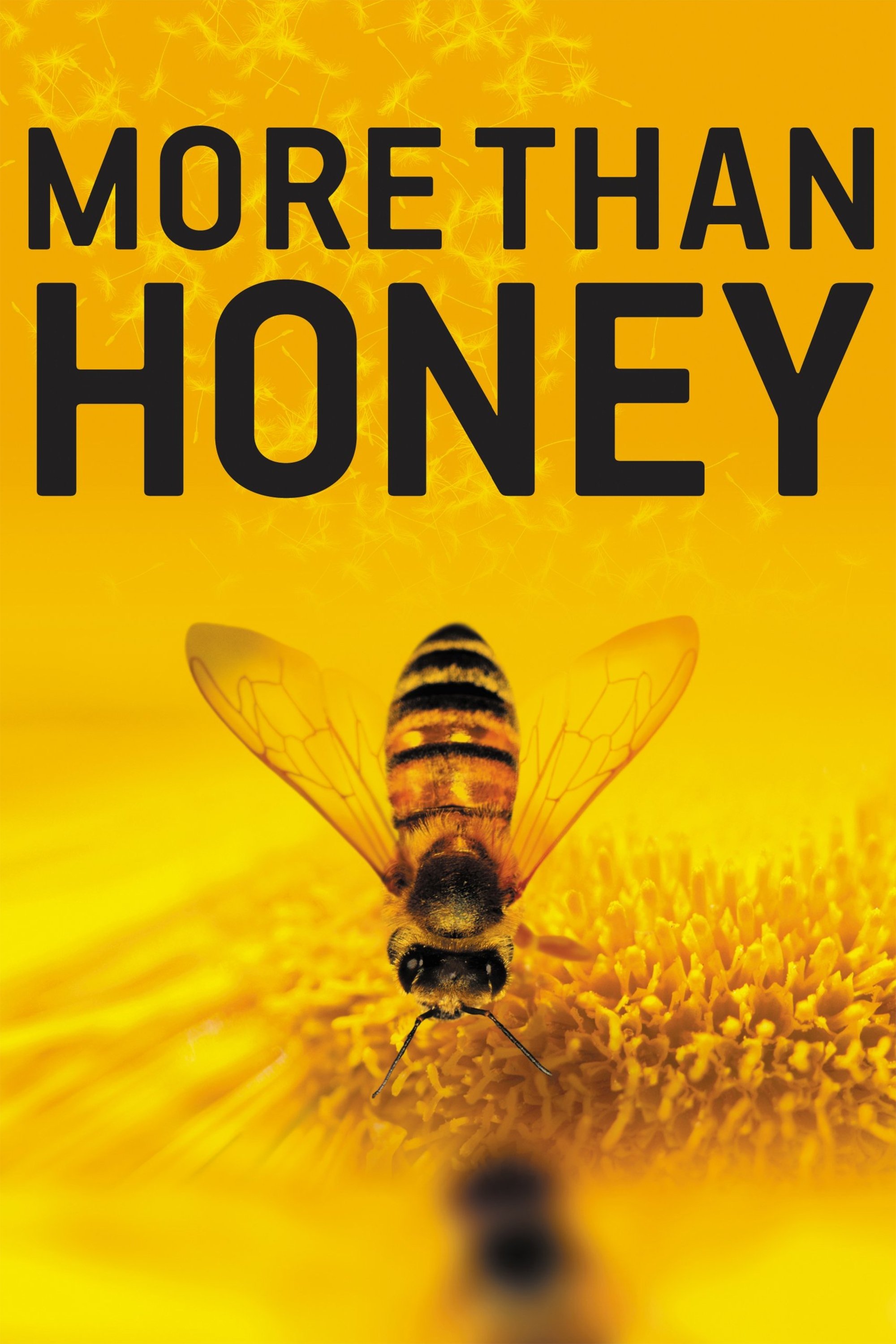 More Than Honey