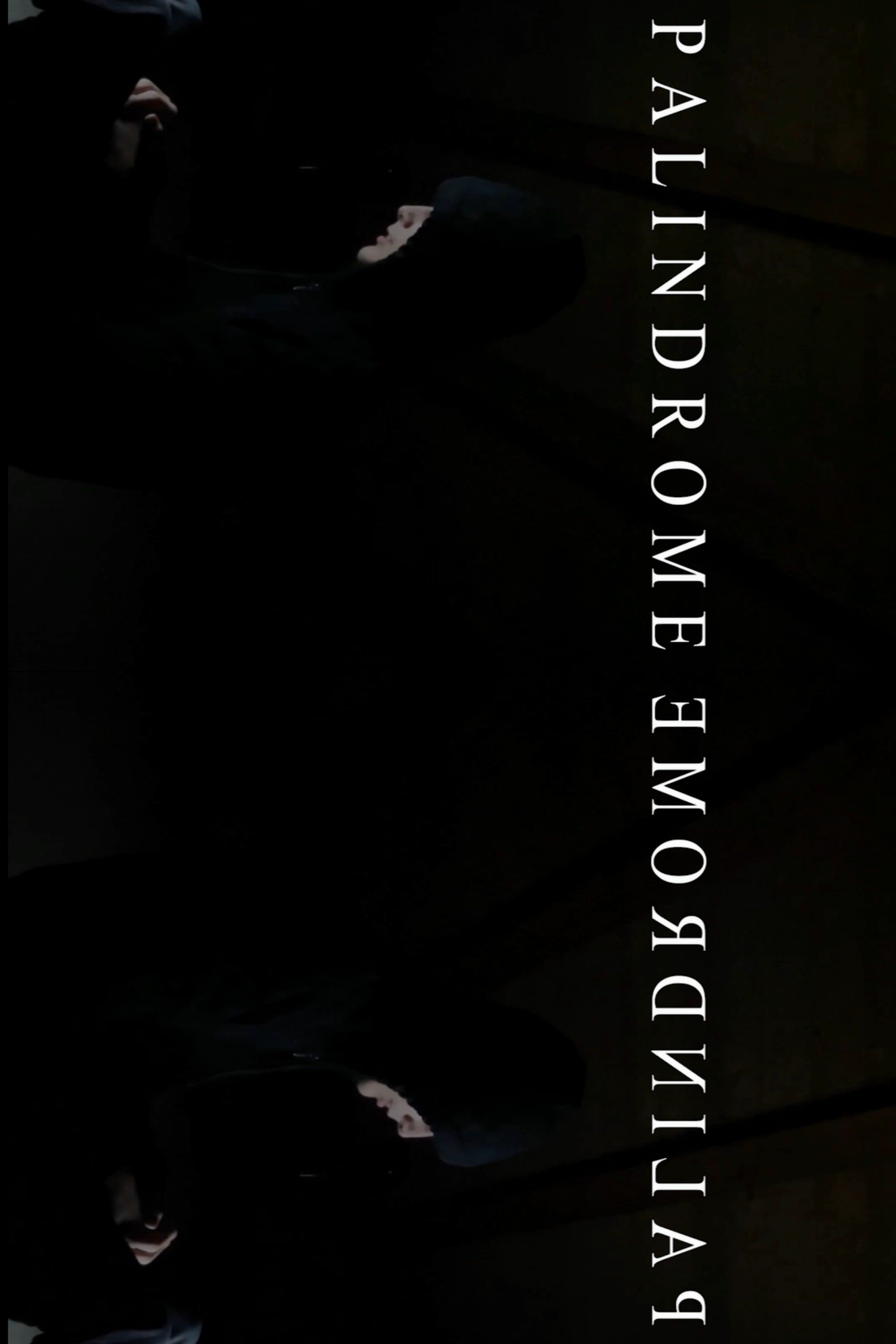 PalindromeemordnilaP