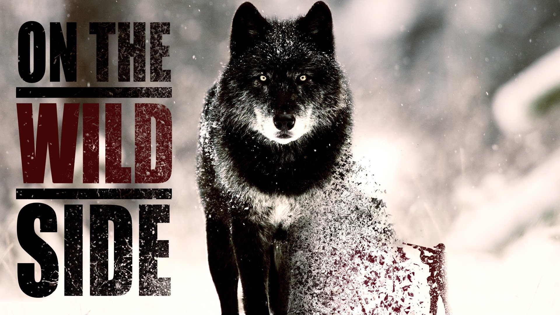 On The Wild Side (2019)