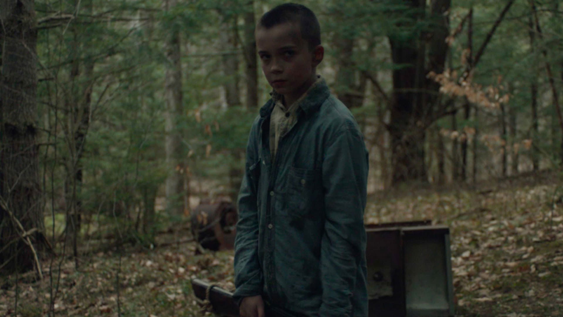 Brothers (2015)
