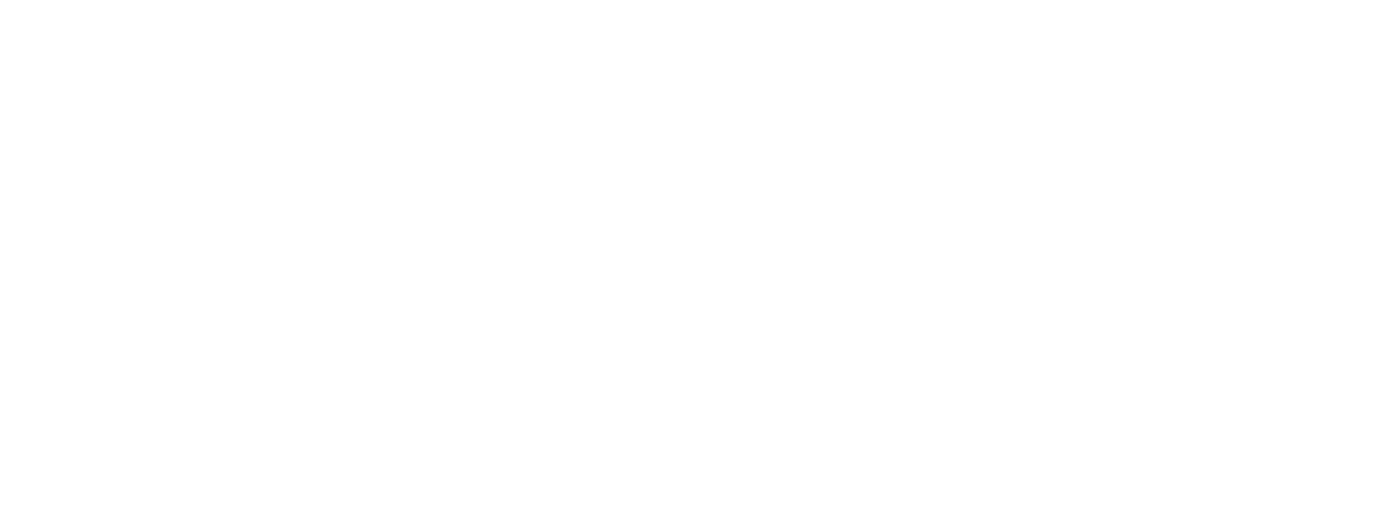 Zrození šampiona