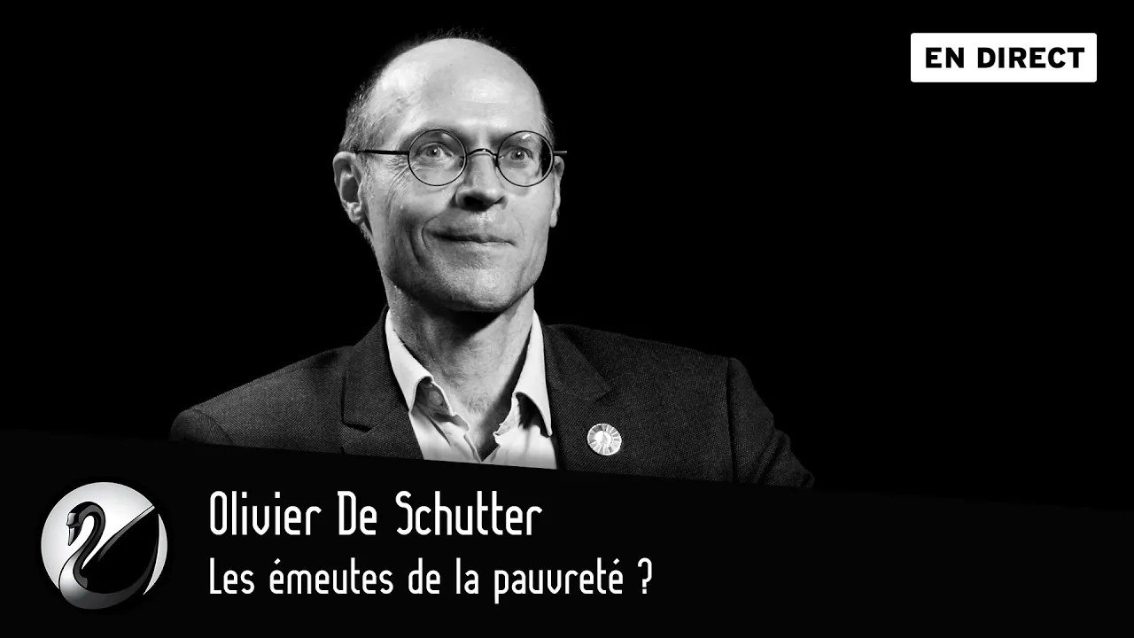 Thinkerview - Les émeutes de la pauvreté ? Olivier De Schutter