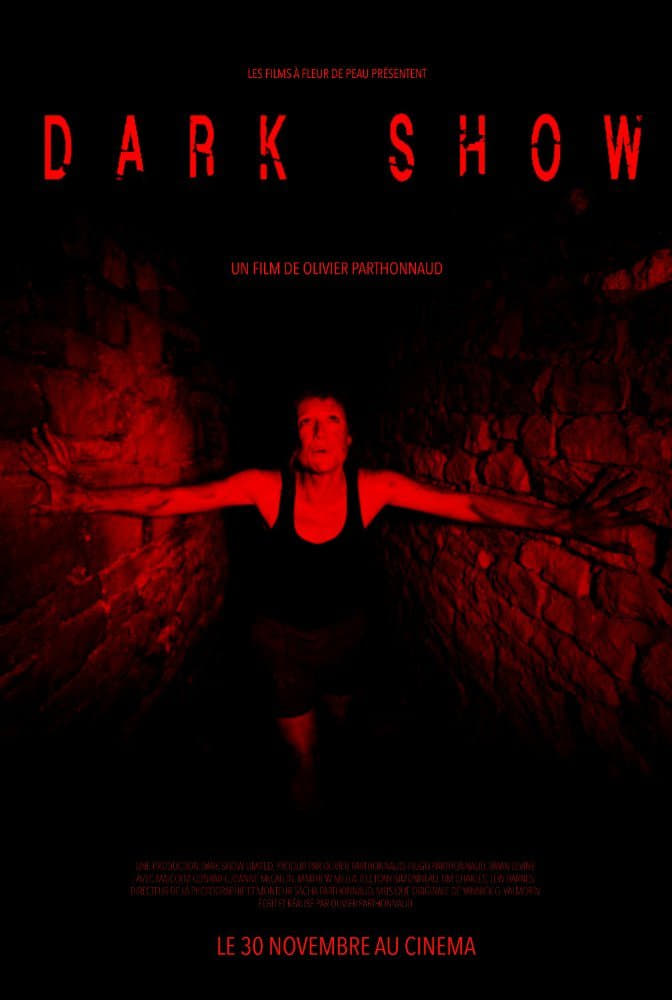 Affiche du film Dark Show 11001