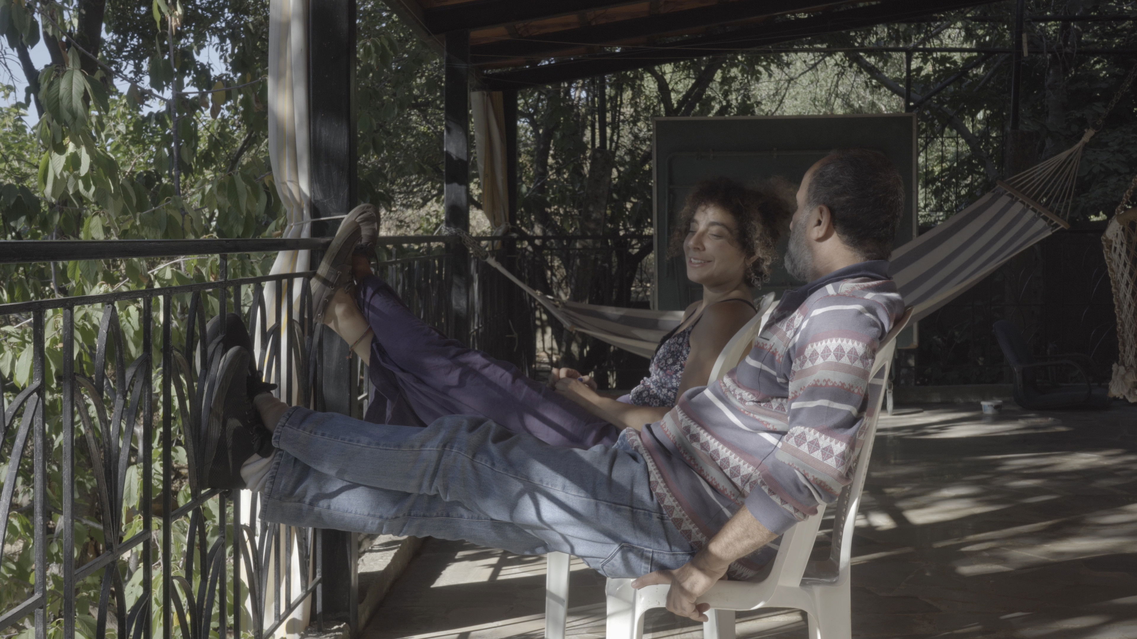 The cats, the sea, and everything in between. (2025)