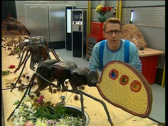 C'est pas sorcier - Fourmis formidables