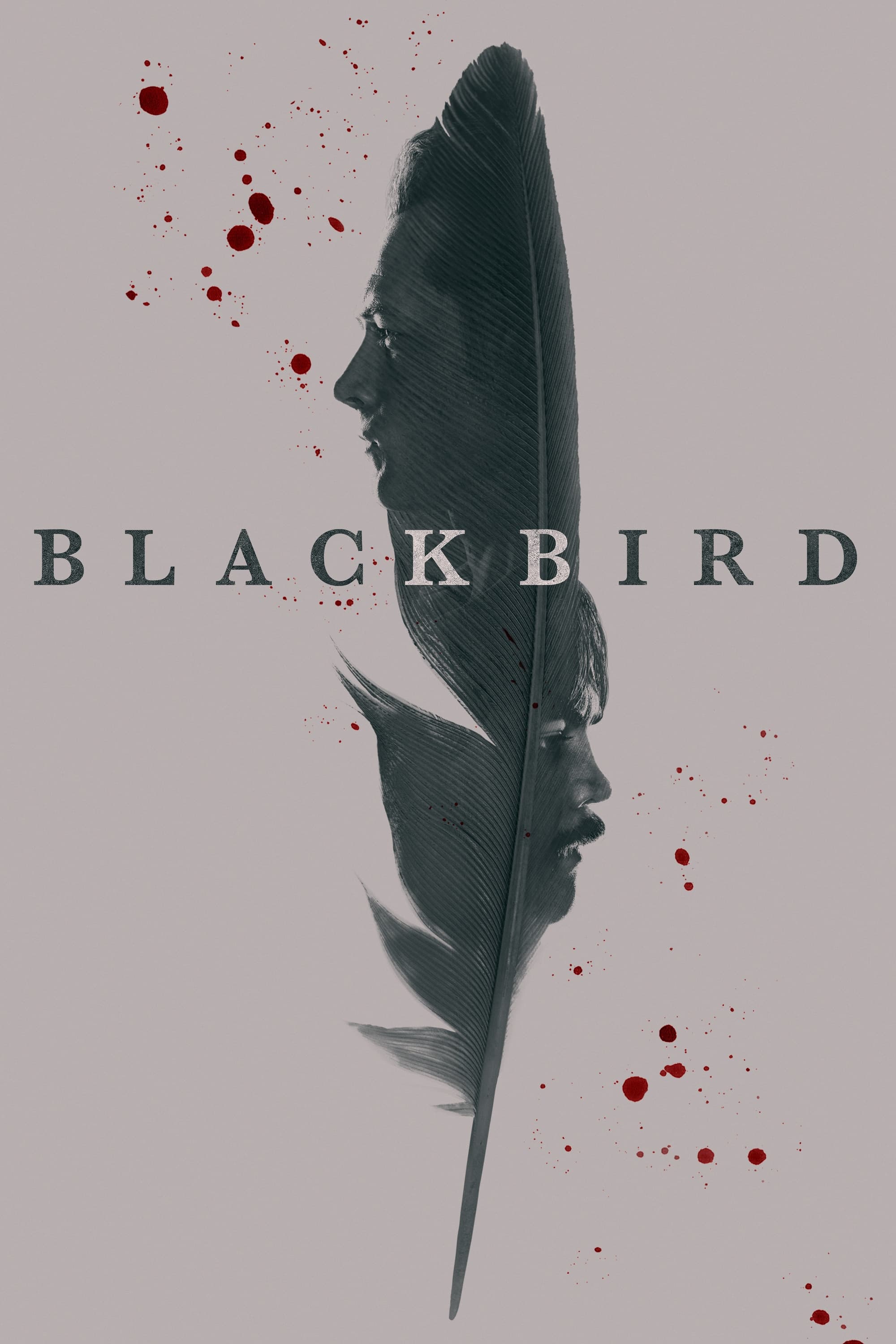 Black Bird TV Shows About Based On Novel Or Book
