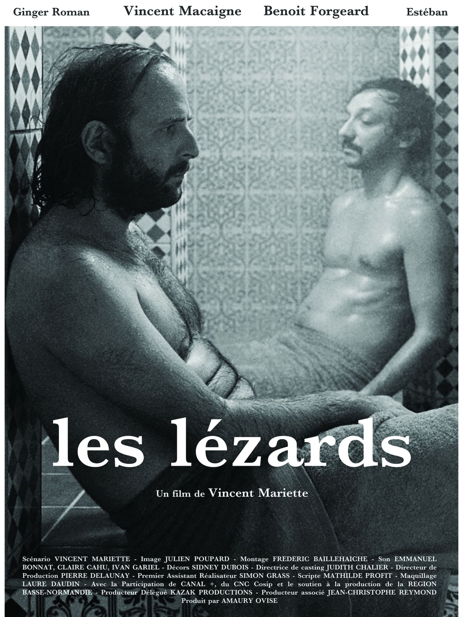 Affiche du film Les Lézards 26422