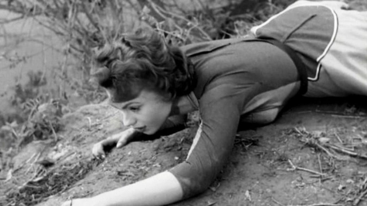 Jailbirds (1954)