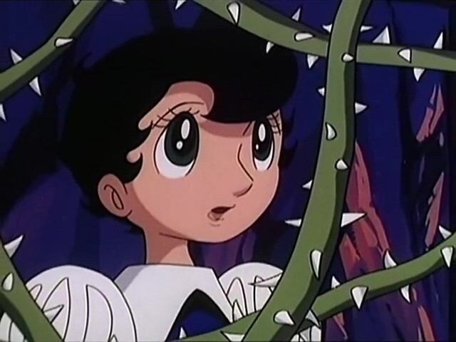 Princess Knight