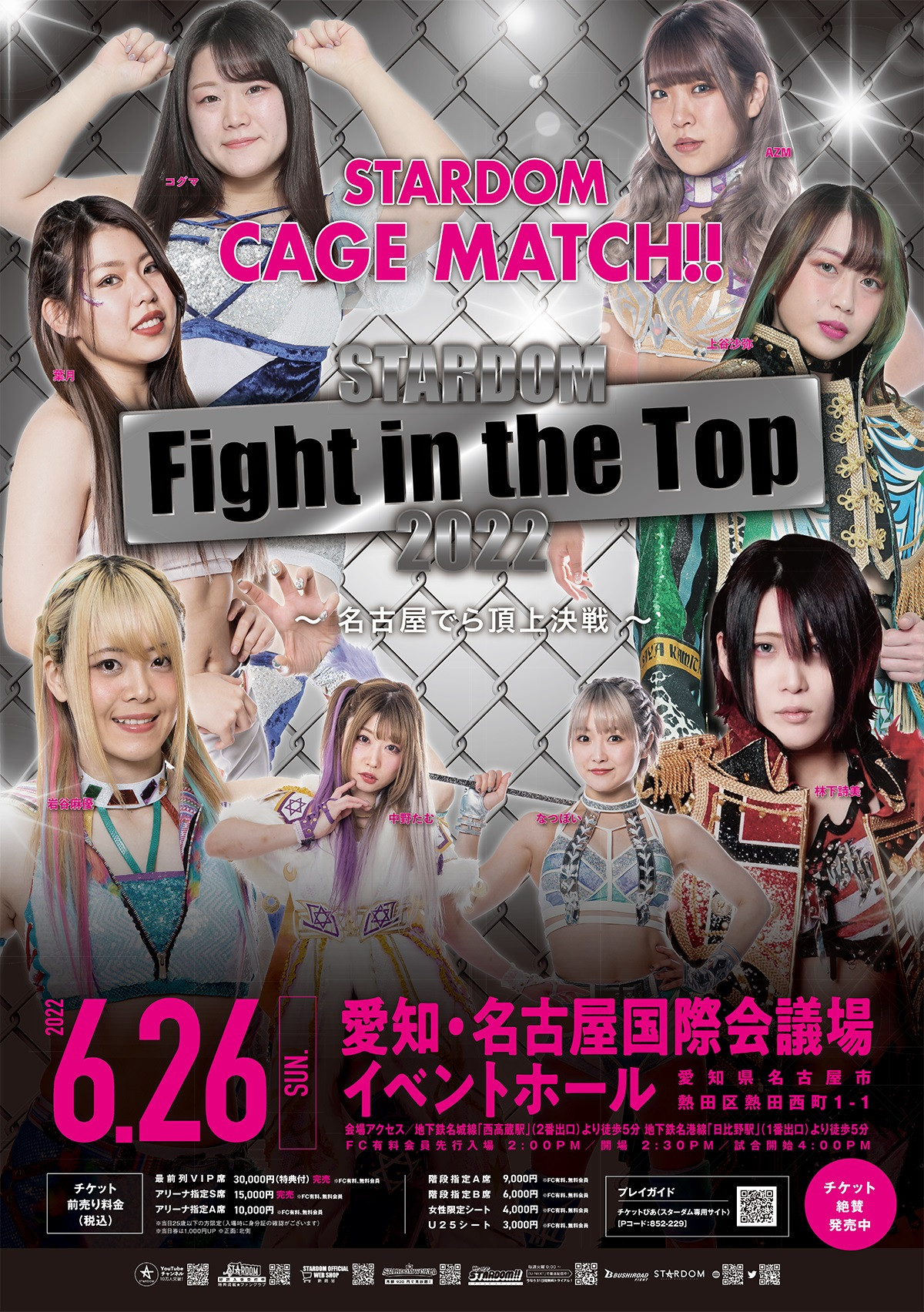 トップのスターダムファイト