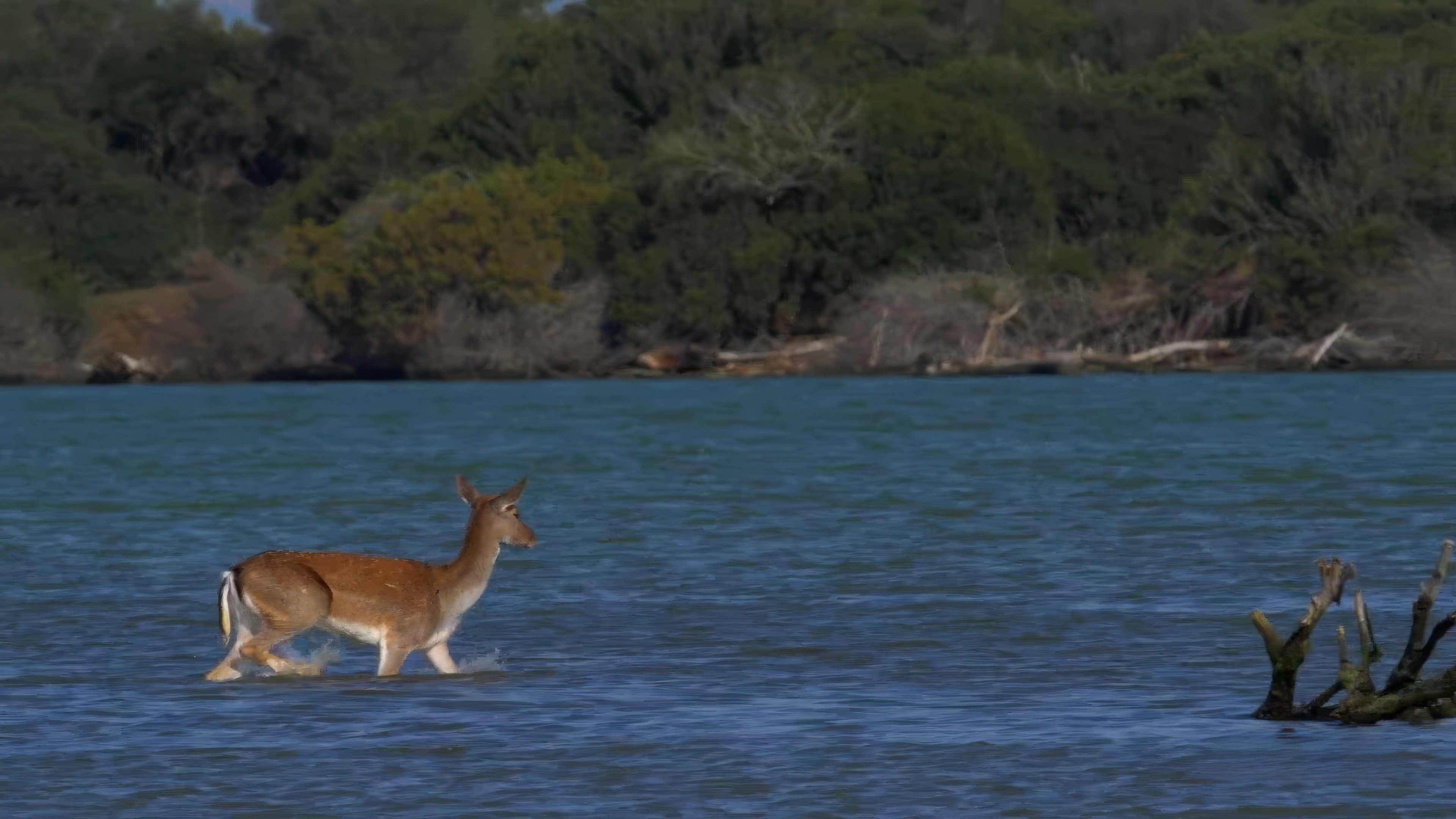 Earth Odyssey with Dylan Dreyer S07E15 backdrop