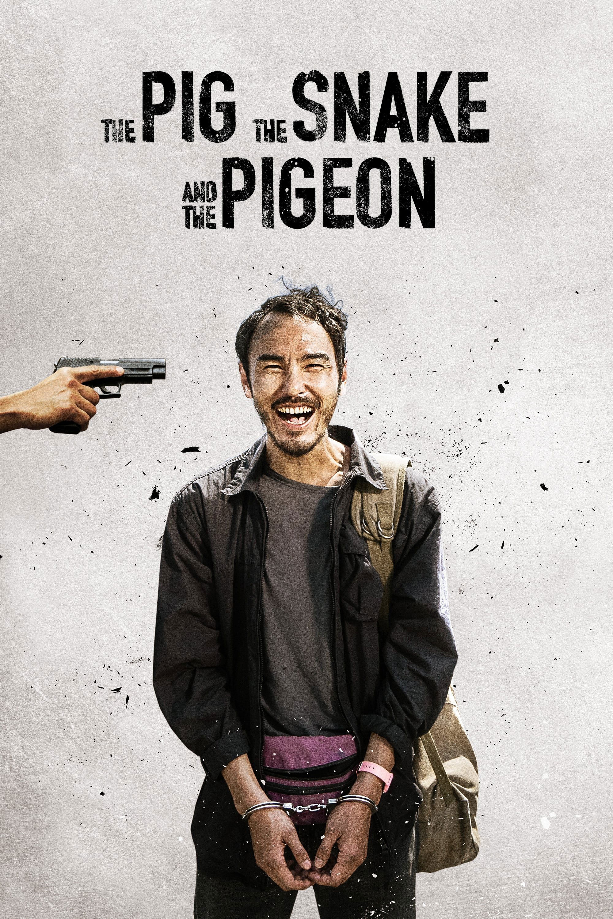 The Pig, the Snake and the Pigeon
