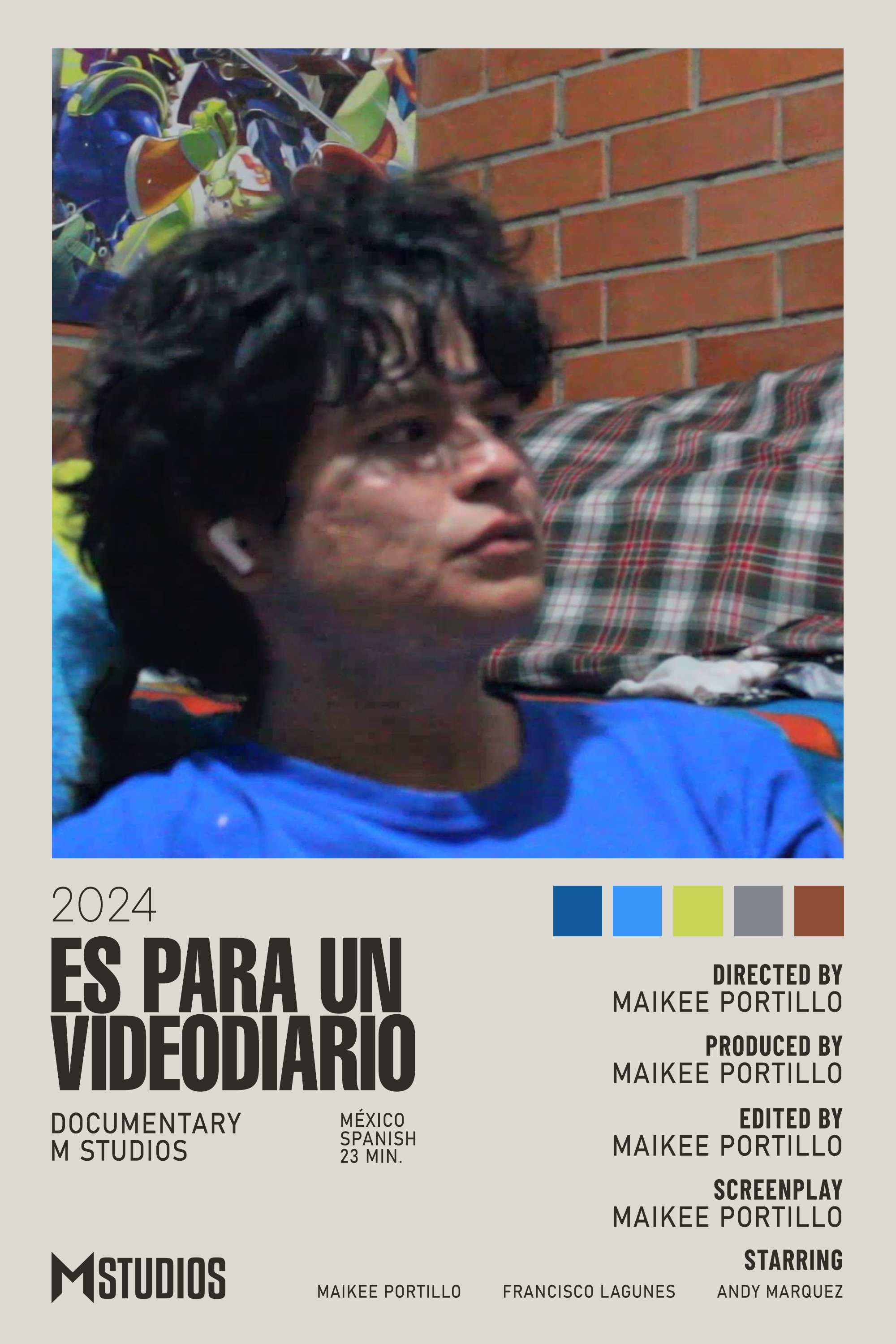 Es Para Un Videodiario